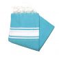 2x2 m klassisches eisblaues Fouta