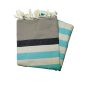 Kerouan taupe, navy sand & turquoise flat fouta